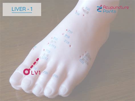 liver 1 acupuncture point benefits.